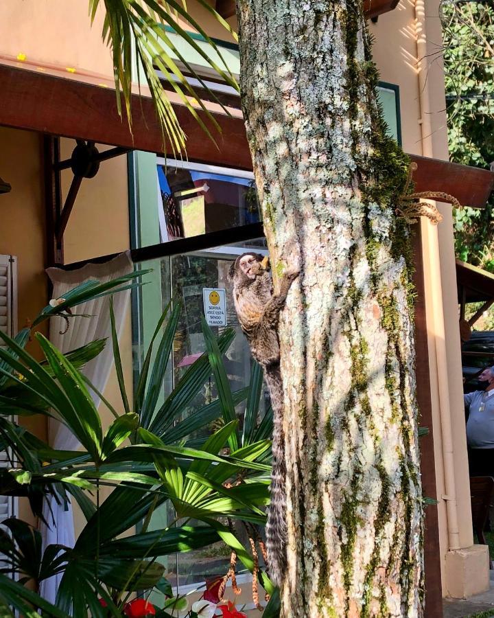 Pousada Pataca De Prata - Pousada De Epoca Petrópolis Dış mekan fotoğraf